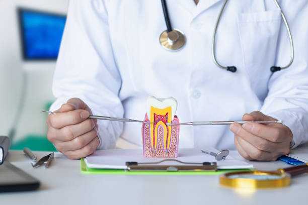 Best Emergency Dental Care for Abscessed Tooth in Somerdale, NJ